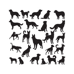 Set of vector black silhouettes of a labrador retriever dogs in different poses isolated on a white background. Lies, stands, sits, jumps, eats, barks,runs. Vector