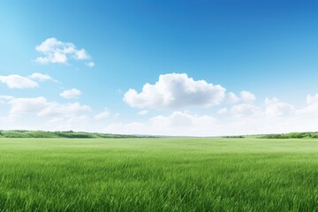 Obraz premium Lush green field backgrounds landscape outdoors.