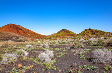 Volcanic landscape, Island Lanzarote, Canary Islands, Spain, Europe.
