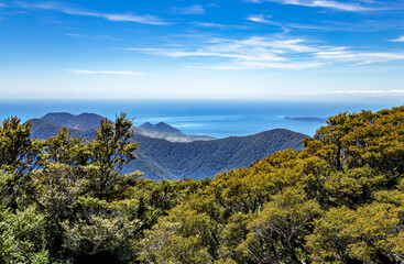 Marlborough Sounds, South Island, New Zealand, Oceania.
