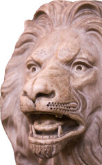 Fototapeta premium lion decoration element