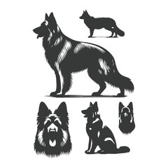 German Shepherd dog silhouette vector set - Vector drawing of a set of German shepherd dog breed silhouette