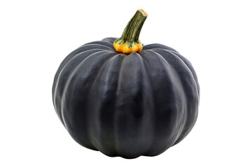 Acorn squash isolated on a white background, great for autumn themes and decorations.