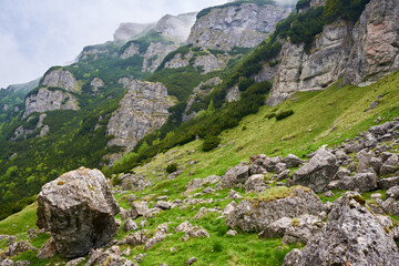 Obraz premium HIghlands after rain