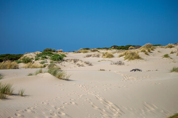 Valdevaqueros Dune in Tarifa, Strait of Gibraltar, Spain
