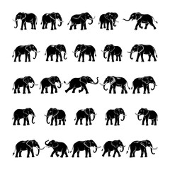 A collection of high-quality elephant silhouettes perfect for digital and print projects. Includes detailed and simplified designs in various poses. Clean file structure with minimal layers.