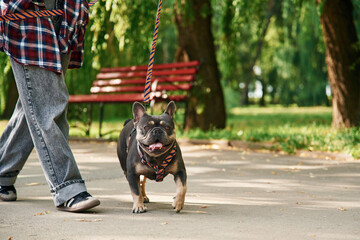 Young woman is with her dog in the park