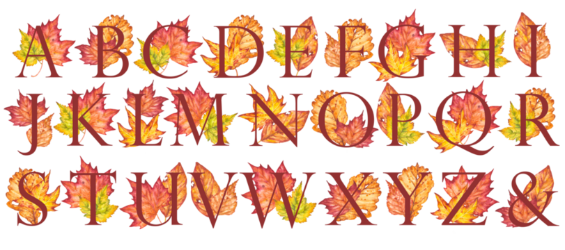 Set of floral alphabets. The letters of the alphabet are dark red, decorated with watercolor autumn leaves of different colors. Wedding, birthday, children's party, other creative ideas.