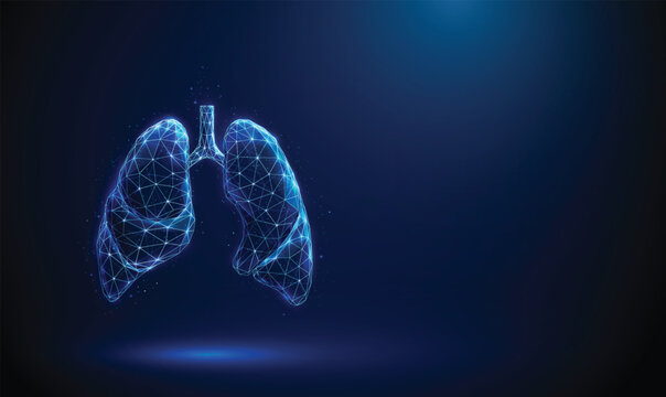 Abstract blue human lungs. Lungs anatomy, left and right lung, trachea. Healthcare medical concept. Low poly style. Geometric background. Wireframe light connection structure. Modern 3d graphic Vector