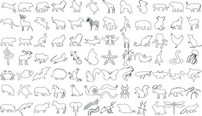 Animal outline vector collection includes lizard, reptile, amphibian, fish, insect, mammal, bird, aquatic designs. Ideal for logos, illustrations, and art projects