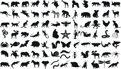 Animal silhouettes vector collection, includes lizard, reptile, amphibian, fish, insect silhouette, perfect for logo illustration, and graphic design © Arafat