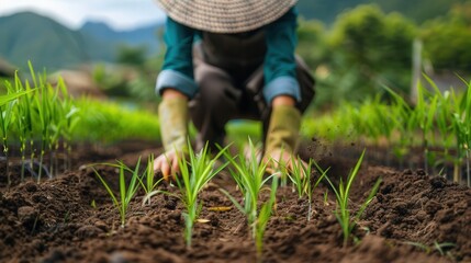 A person is planting seeds in a field