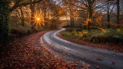 Obraz premium A autumn scene with vibrant leaves, a winding path through the park and sunlight streaming down in an elegant display of golden hues.