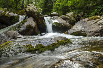 Gorges de Carançà in summer (Pyrénées Orientales, France)