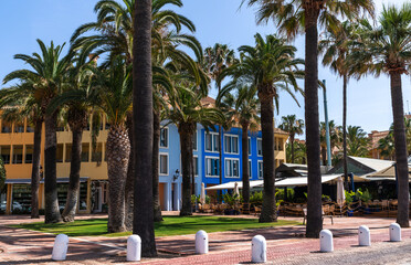 Fototapeta premium a lush palm-lined pathway leading to a building with striking wall, nestled in a tranquil, sunny coastal resort area.