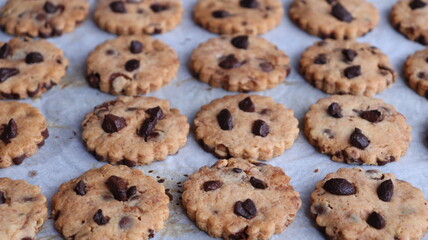 Delicious Chocolate Chip Cookies Freshly Baked
