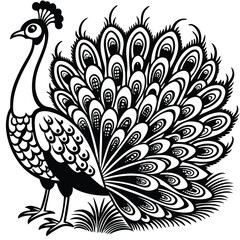 peacock vector illustration
peacock feather vector
peacock feather vector illustration