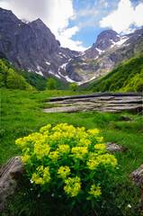 Artiga de Lin Valley in spring (Aran Valley, Pyrenees, Catalonia, Spain)