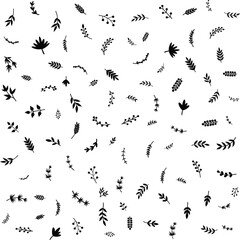Minimalist Botanical Pattern