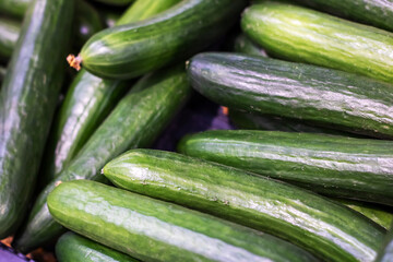 Several green cucumbers are piled on top of one another