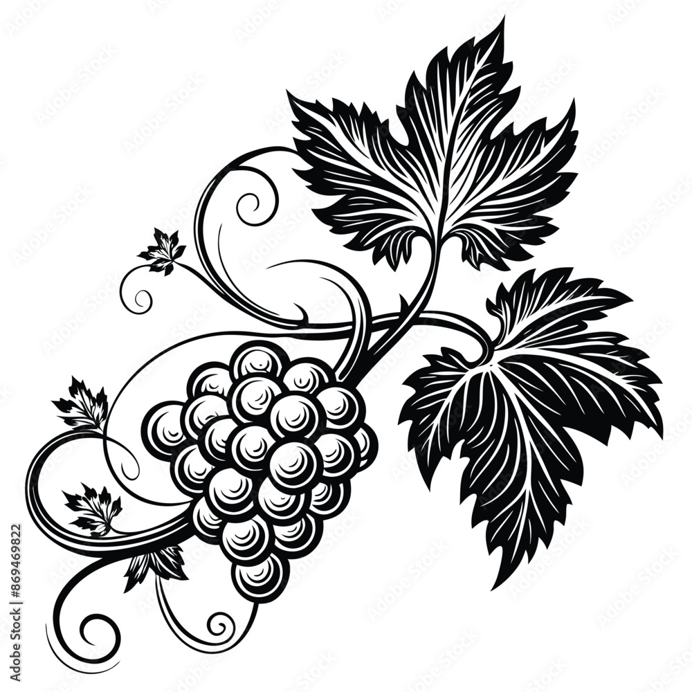 Aufkleber black and white grapes. illustration of grapes. a single grape branch with swirling lines and mini. 