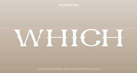 Vector luxury wedding alphabet letters font typography elegant classic serif fonts decorative vintag

