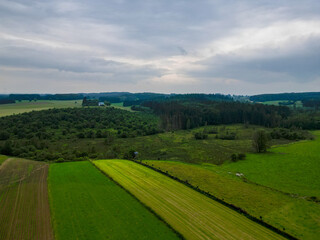 Serene aerial shot of vibrant green farmland and dense forest below an overcast sky, ideal for nature themes.