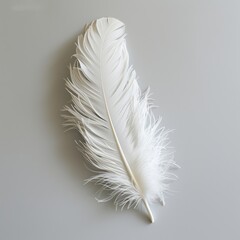 Close-up of a beautiful white feather on a plain grey background, showcasing delicate texture and intricate details. Perfect for nature and simplicity themes.