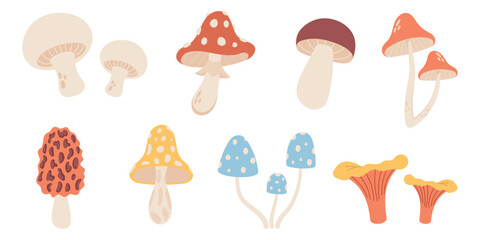 Set of mushrooms on white background, vector illustration