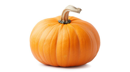 Obraz premium A large orange pumpkin with a stem isolated on a white background