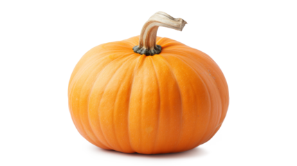 A large orange pumpkin with a stem isolated on a white background