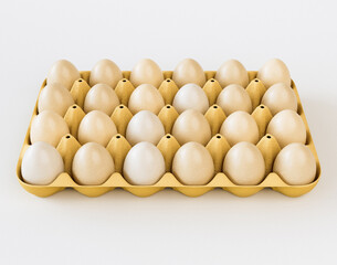 Egg Box Carton Tray