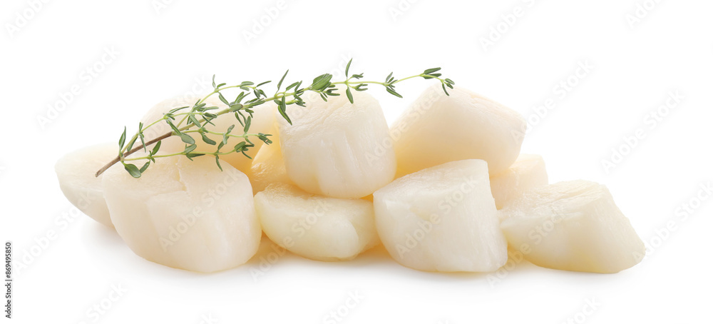 Wall mural Pile of fresh raw scallops and thyme isolated on white - Wall murals