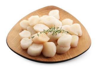 Fresh raw scallops and thyme isolated on white