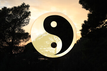 Yin and yang symbol against picturesque nature landscape