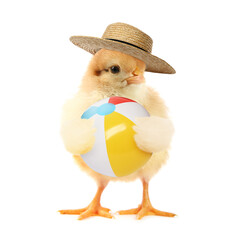 Cute fluffy chick with straw hat and beach ball isolated on white
