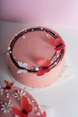 Cakes Assortment, Bento Cakes on Light Pink Background