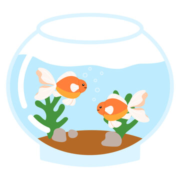 two goldfish in fishbow