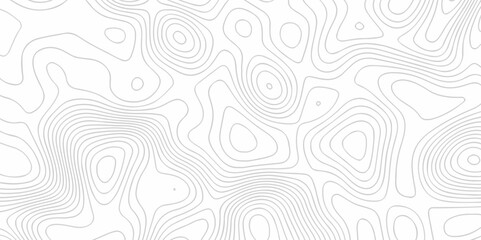 Abstract lines background Contour maps Vector illustration. Geographic grid map Abstract wave paper curved reliefs background. Relief contour of terrain. Topographic map pattern.	