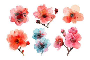Watercolor set of cherry blossom flower isolated on transparent background. Pink, red and blue sakura flowers. Romantic spring elements. Vintage floral illustration collection for design 