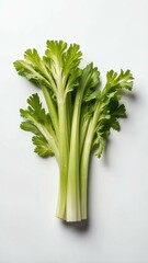 celery isolated on white background