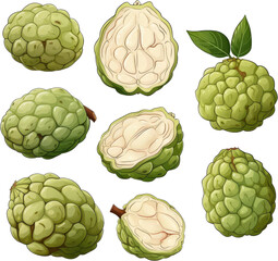 Obraz premium A collection of whole and cut sugar-apple fruits