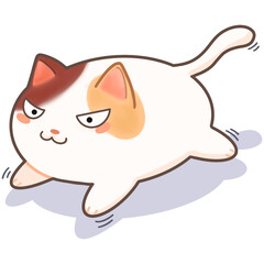 Fat cat with cunning eye so funny