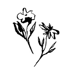 Naklejka premium Two flowers, hand drawn, line art, doodle, vector illustration
