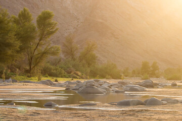 Golden light at dawn, at one of the rare, vegetated riverbanks of the Fish River, within the Fish...