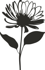 Flowers isolated on transparent background. 
Flowers in modern simplE  Cute round flower 
plant nature collection Vector illustrator.