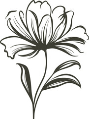 Flowers isolated on transparent background. 
Flowers in modern simplE  Cute round flower 
plant nature collection Vector illustrator.