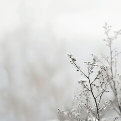 White foggy background, blurred small flowers in the foreground, winter, snow-covered plants