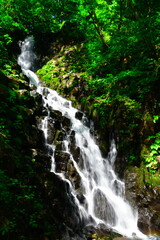 Fototapeta premium 大尾不動滝（新潟県）