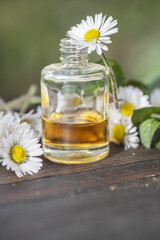 bottles of essential oil and daisies with fresh mint leaf on a wooden table  outdoors